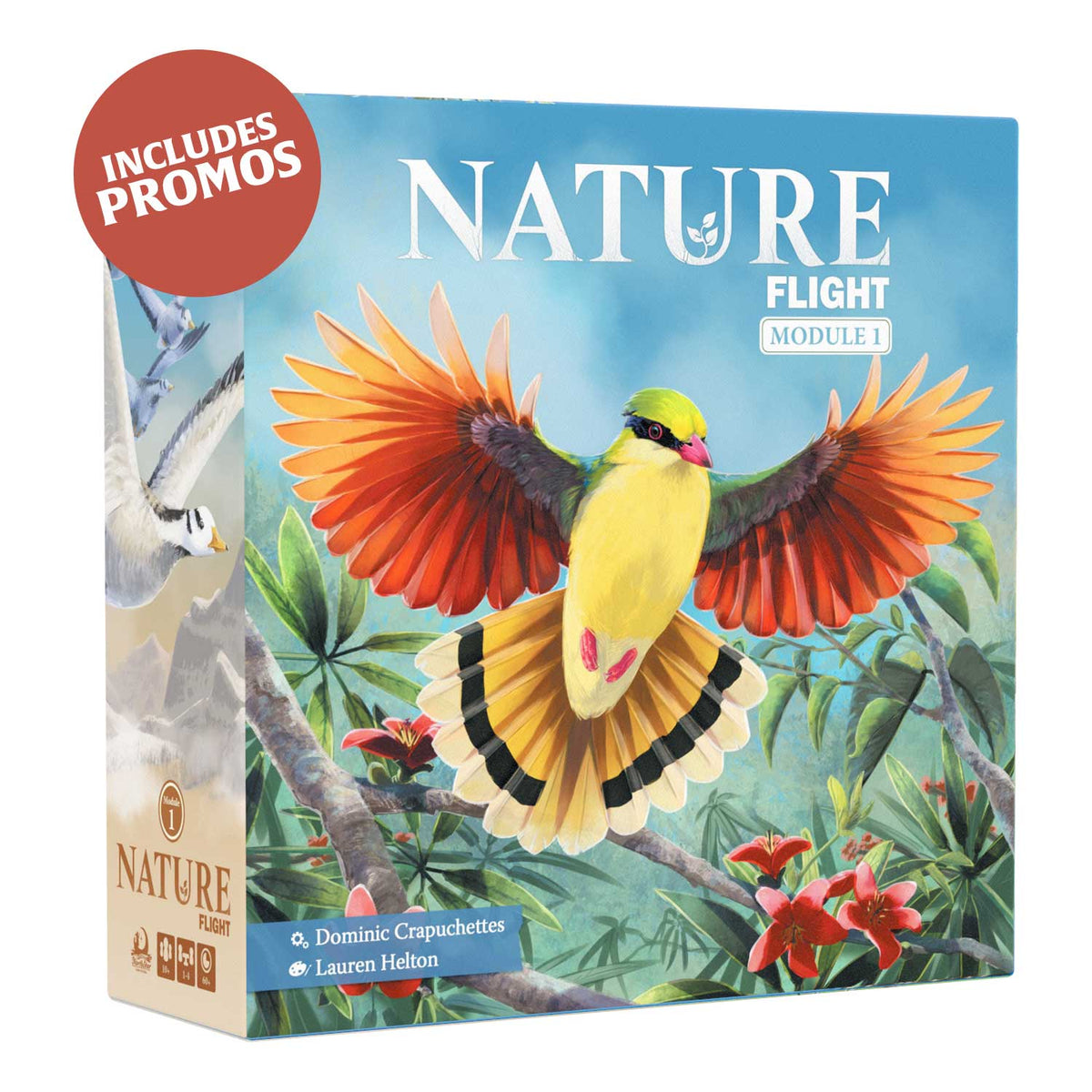 Nature Module 1: Flight