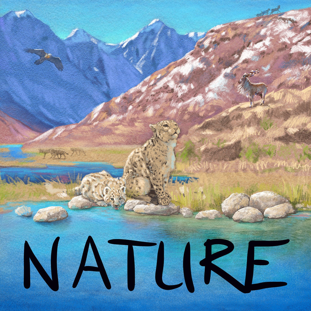 Introducing Nature: the final game in the Evolution series