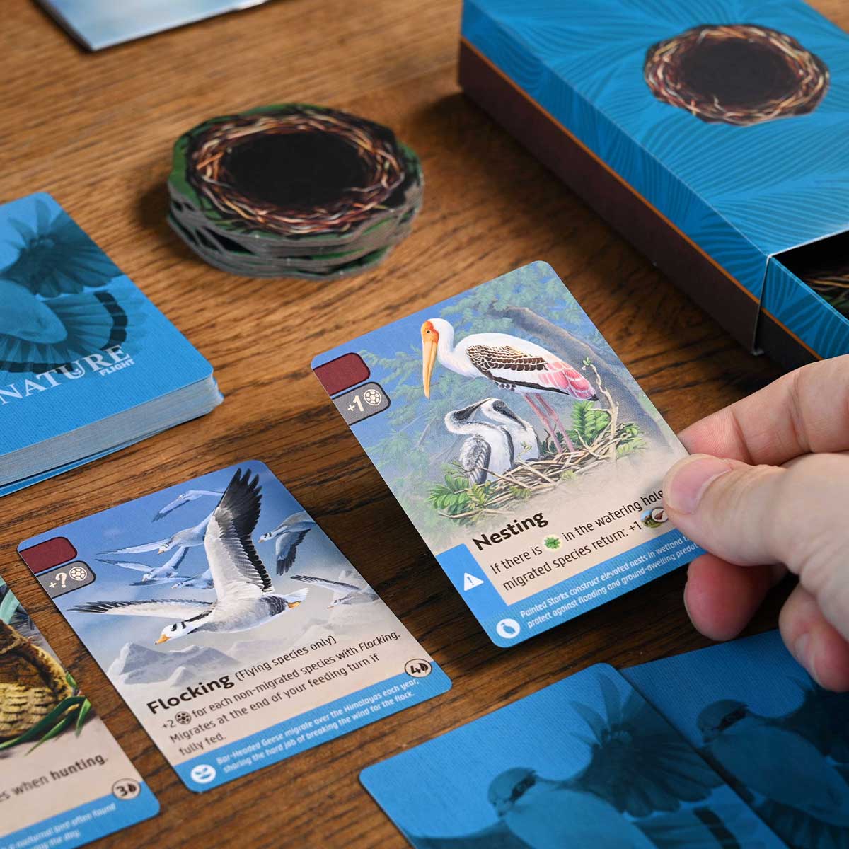 Nature Module 1: Flight [PREORDER]