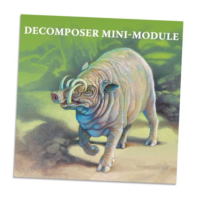 Nature: Decomposer Mini-Module