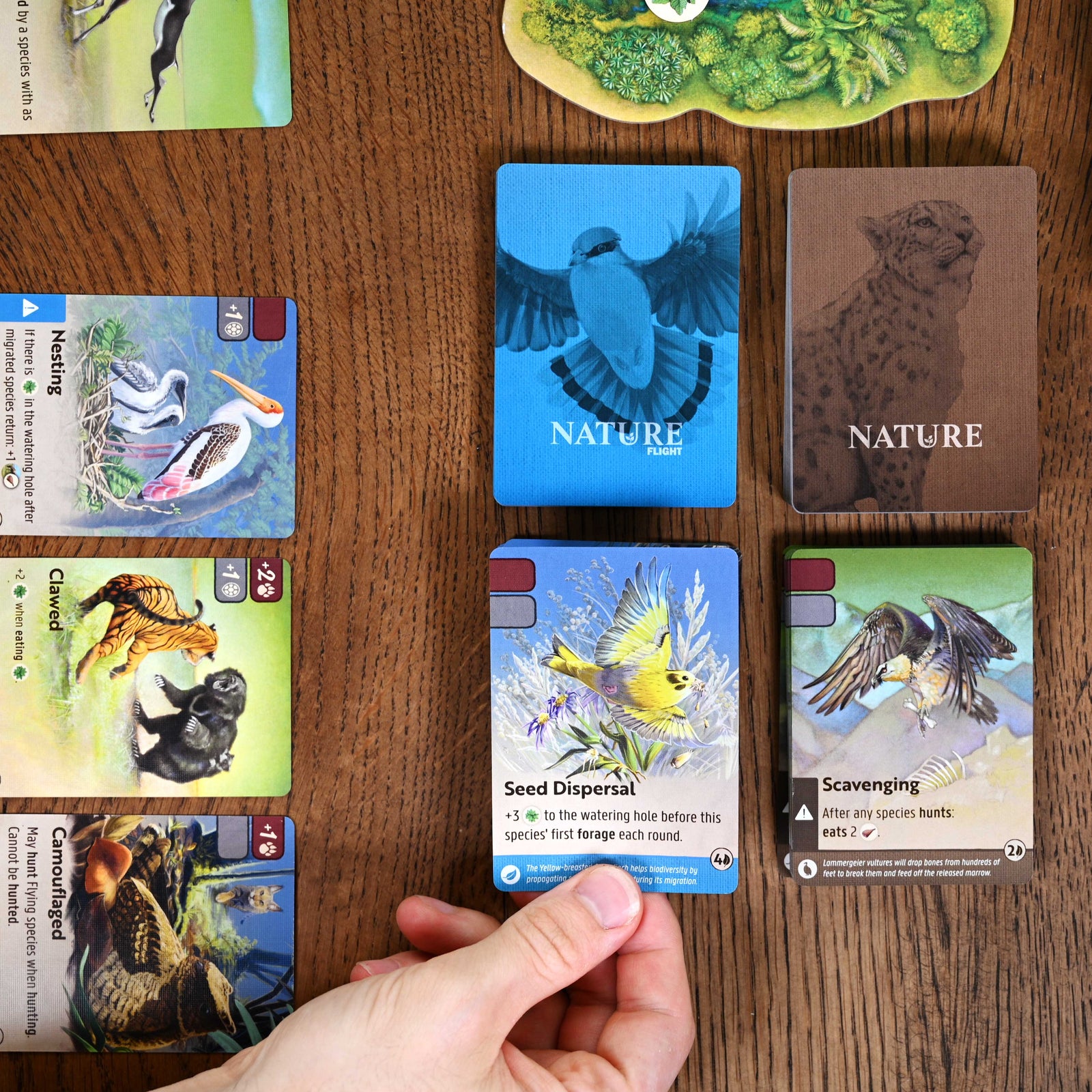 Nature Module 1: Flight in play with Nature Board Game