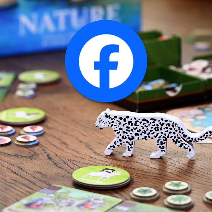 Nature Board Game Resources – North Star Games