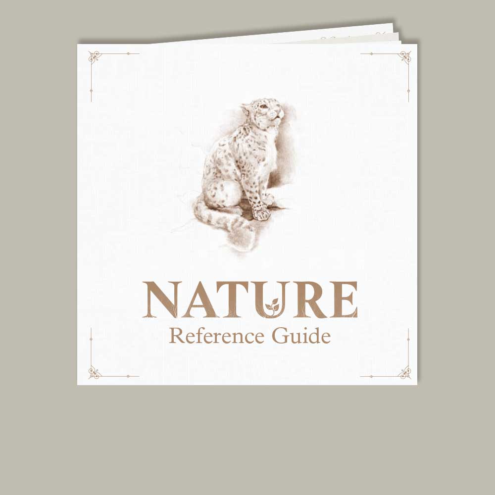 Nature Board Game Resources – North Star Games