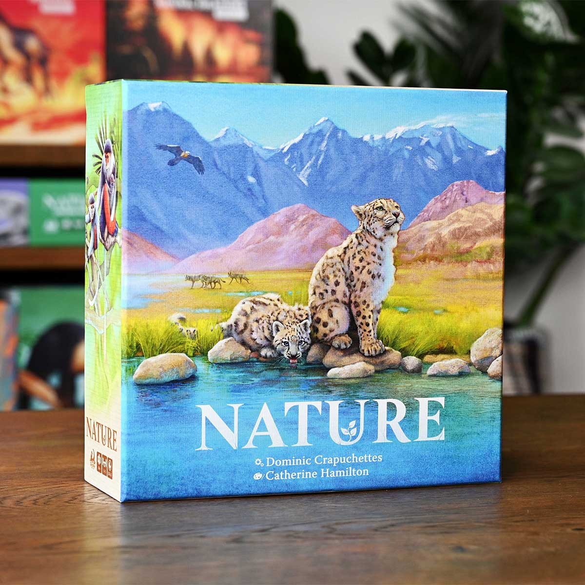 Board game box titled 'Nature' with a leopard and cubs illustration on a wooden table.