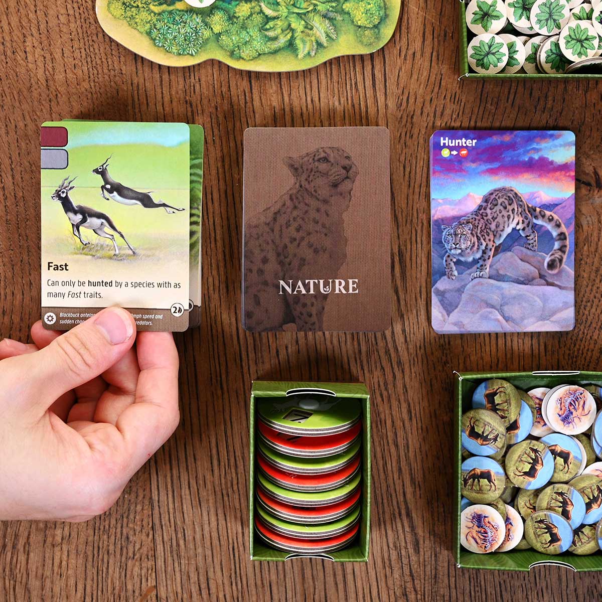 Card game with nature-themed cards and figurines on a wooden surface