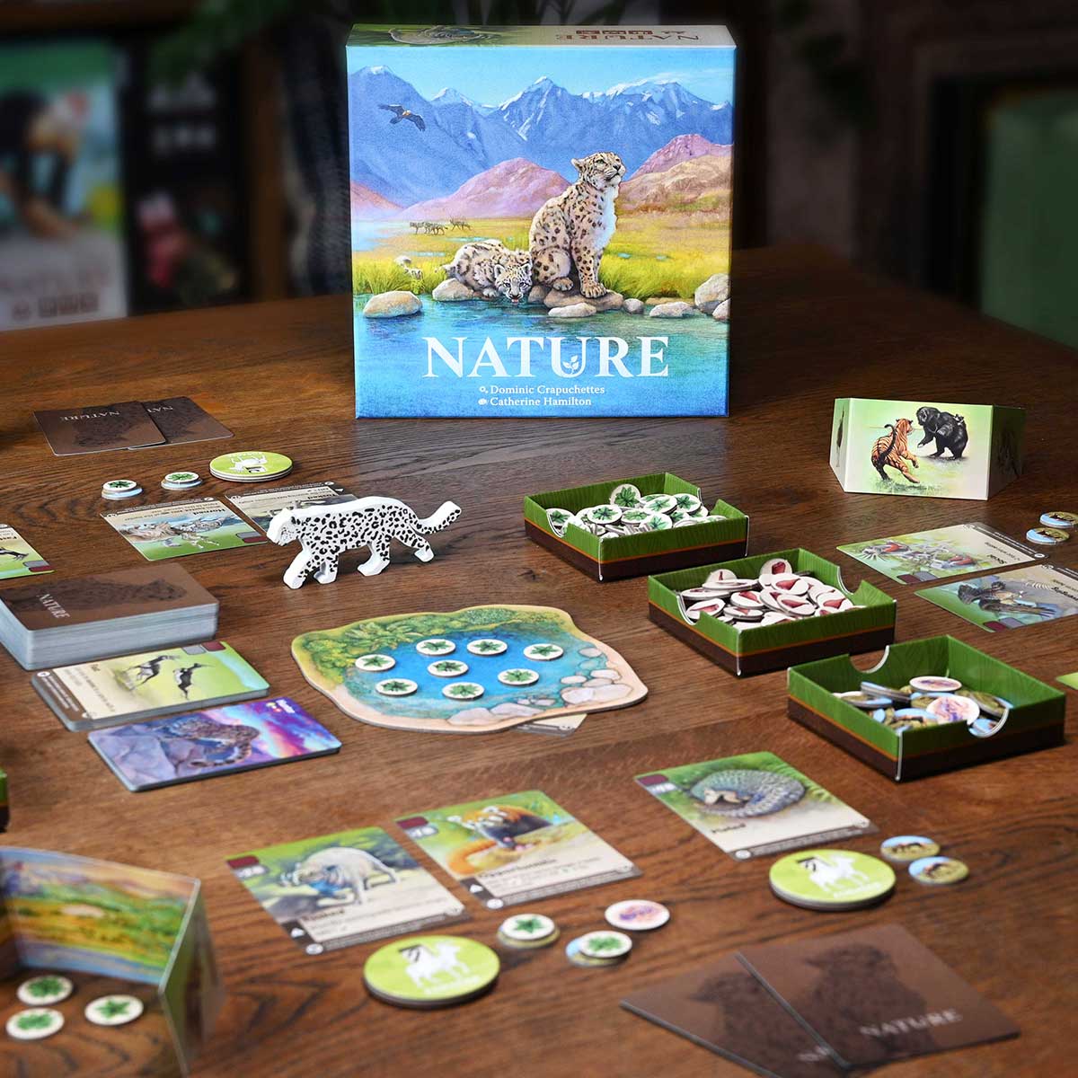 Board game set up on a table with 'Nature' theme