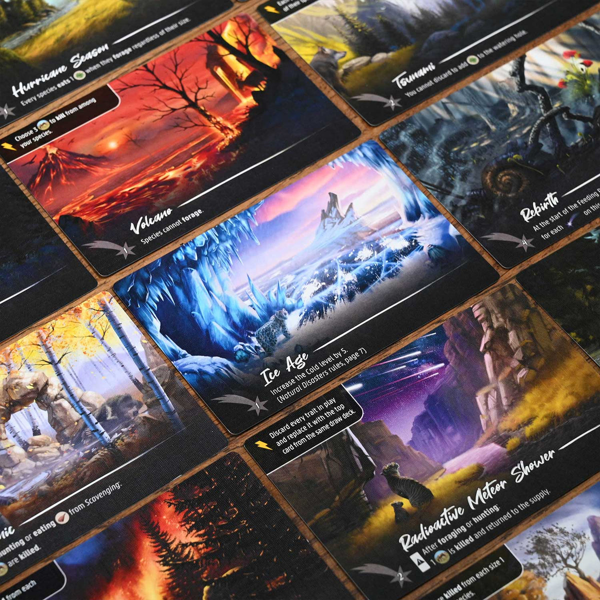 Nature Module 3: Natural Disasters