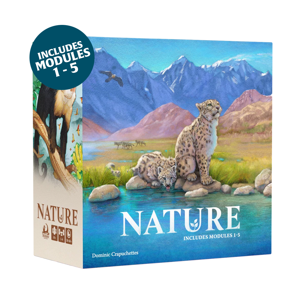 Nature Big Box