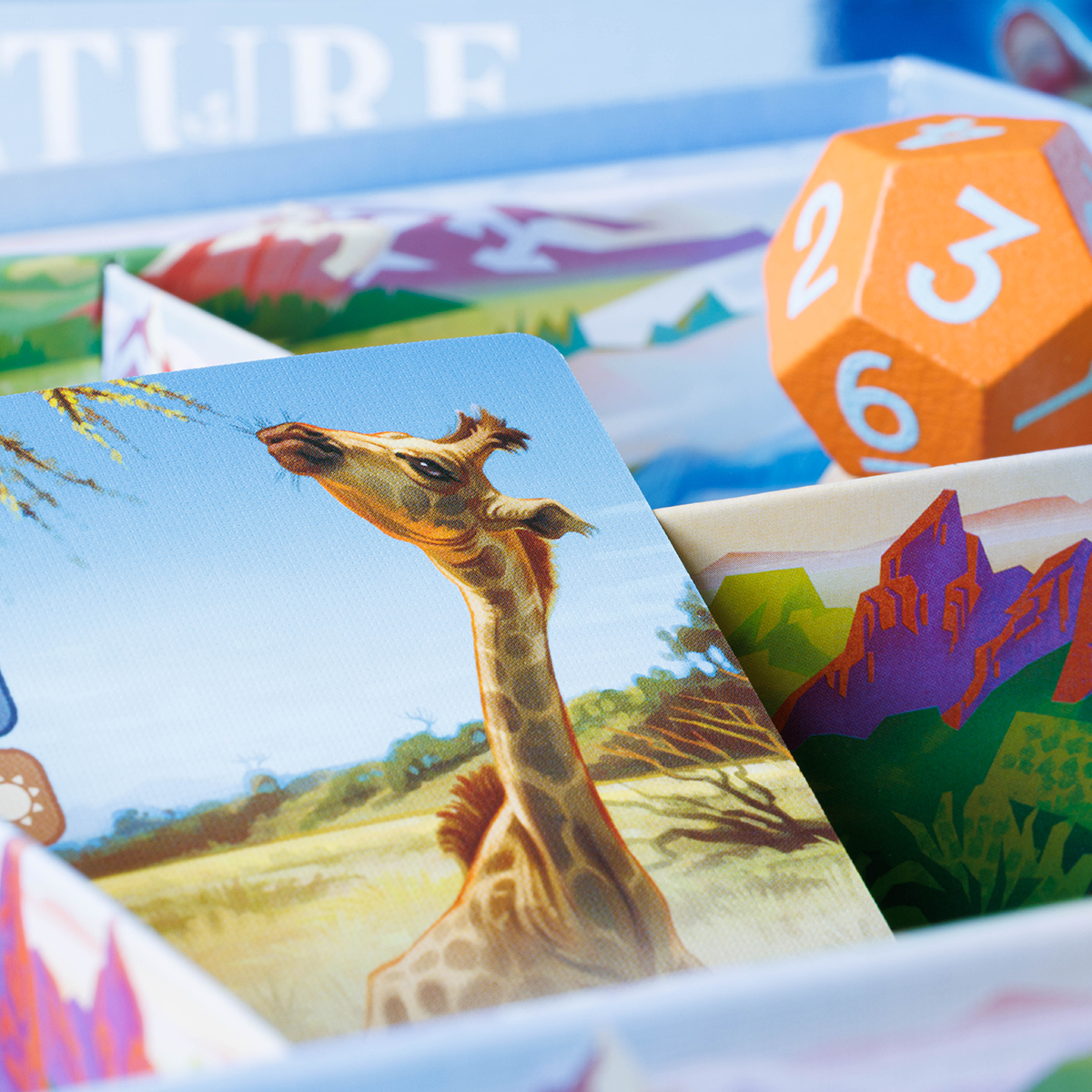 Nature Module 6: Climate
